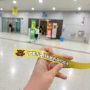 pet 59더8609 | [2025 펫쇼코리아 후기 1탄] 볼거리 많았던 일산 킨텍스 펫쇼코리아 참여업체 정보