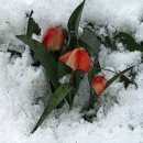 미소와행복 이미지