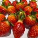 초콜릿PC존 | 부산 문현동 맛집 애슐리퀸즈 딸기 파티 평일 주말 런치 디너 안내