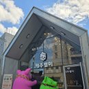 베지그랑 | 전문점 '제주벨미'에서 두 세트 내돈내산 후기 / 베지그랑, 돌코롬, 마농, 맵지롱, 코소롱 돼지육포...