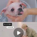 꼼꼼하개 - 양산시 버들길 12 | 꼼꼼하개