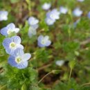 이가농장 이미지