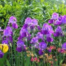 사회복지사 1급 이론 - 인간행동과 사회환경 이미지