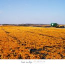 신풍목장 이미지