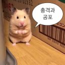 헤실헤실 | 2025 7월 서코 SUMMER 달빛 고민 상담소 팬사인회 후기(1) 박성태 님 (망함 주의/처참함 주의)
