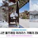 올네이쳐코리아 (ALL Nature) | 니콘 풀프레임 미러리스 Z5II 로 담은 2026년 첫 눈 출사 - 영광 불갑사 설경