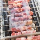 태양부양꼬치 이미지