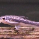 골든오토 이미지