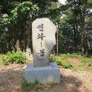고성공룡나라(대전) Daum카페
