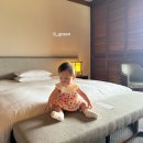 쉴곳 | [제주서쪽숙소] 아기랑 온전히 쉴수 있었던 곳 디럭스 양실후기 - 핀크스 포도호텔:)