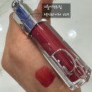 029 | 여친선물추천 디올립글로즈 어딕트 립 맥시마이저 029 내돈내산