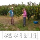 형진농장 이미지