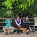 25.8.5 김재정교수번개팅 상당산성자연마당 사슴집 이미지