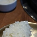 진가네소두마리 | 원주 기업도시 삼겹살 숙성 돼지고기 퀄리티 실화? 한마음정육식당 원주기업도시점 재방문 후기