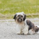 하늘곳간 이미지