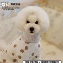 개성있냥 네이버블로그
