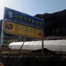 광주동농장 Daum카페