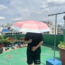 올리브영양산