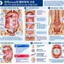 초보자를 위한 20분 전신 필라테스 기구 없이 코어·균형·유연성 운동 이미지