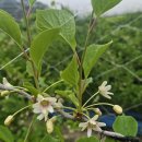 산골농부네 이미지