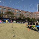 포이초등학교 이미지