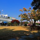 석곡면행정복지센터 이미지