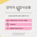 우리동물약국 | 강아지 올인원 심장사상충약 심패리카 트리오 넥스가드 스펙트라 차이점 및 동물약국 레나메진 구입 후기