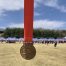 남강 | 2026 진주남강마라톤 참가 후기 | 벚꽃 러닝 대회 솔직 리뷰