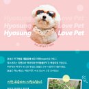 PET사랑 이미지