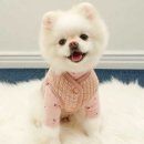 누우띠