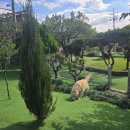 우리마당 이미지