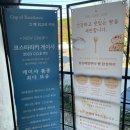 울산 남구 울산대공원 근처 커피전문점 디앤유커피 본점