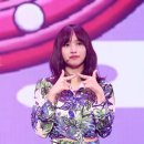 미나월드