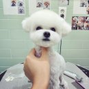 어서왈왈 이미지