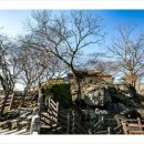 조삼모아 이미지