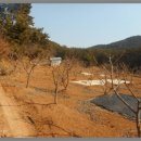 구산면725 이미지