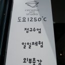 도요1250 이미지