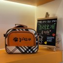 놀러오개 강아지 픽드랍 | 일산애견유치원 추천하는 놀러오개일산점