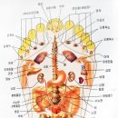 한성이미용기구