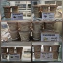 죽전 빵집 베르벨 본점 생식빵 맛집 (통밀,몽블랑) 그리고 바닐라크림버터 후기