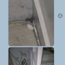 해넘이 숲속마을 이미지