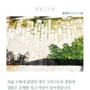 [생명의 삶 Q.T] 2020년 8월 18일(화) 인천경찰경목실장 이세연목사님 이미지