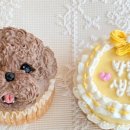 미미펫푸드 이미지