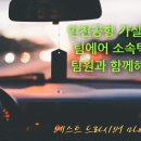 행운동-12 이미지