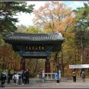 석남사 5호점 | 가을의 정취, 언양 석남사(石南寺)