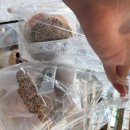 진하목장 | 울산 간절곶 베럴베이글바 서생간절곶점 후기 애견동반 &amp; 케어키즈존