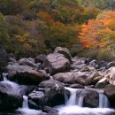 지리산미소가 이미지