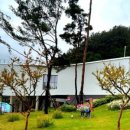 뮤지엄호두 MUSEUM HODU 이미지