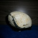 동해마을 이미지