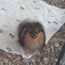 에버노블 이미지